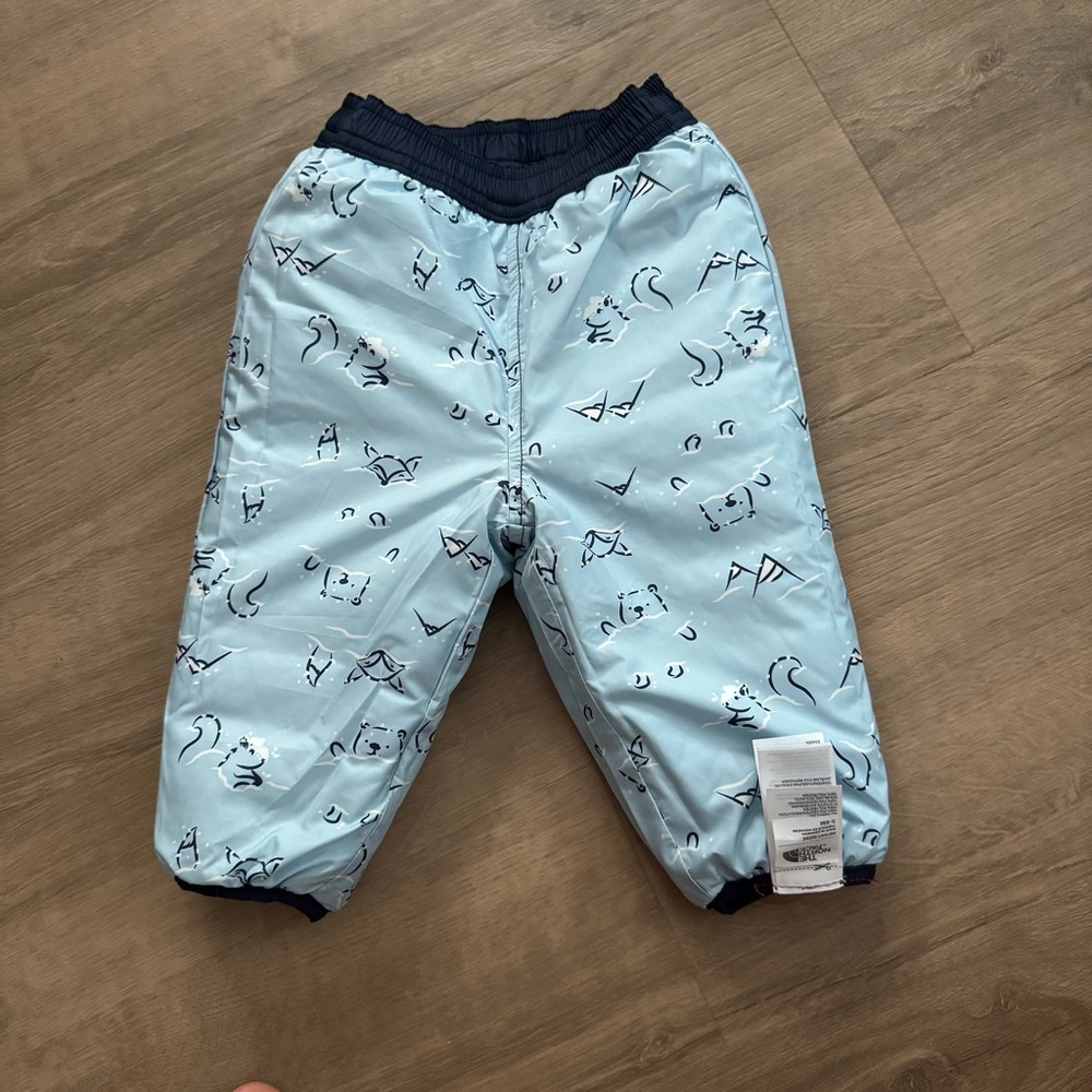 The North Face reversible snow pants